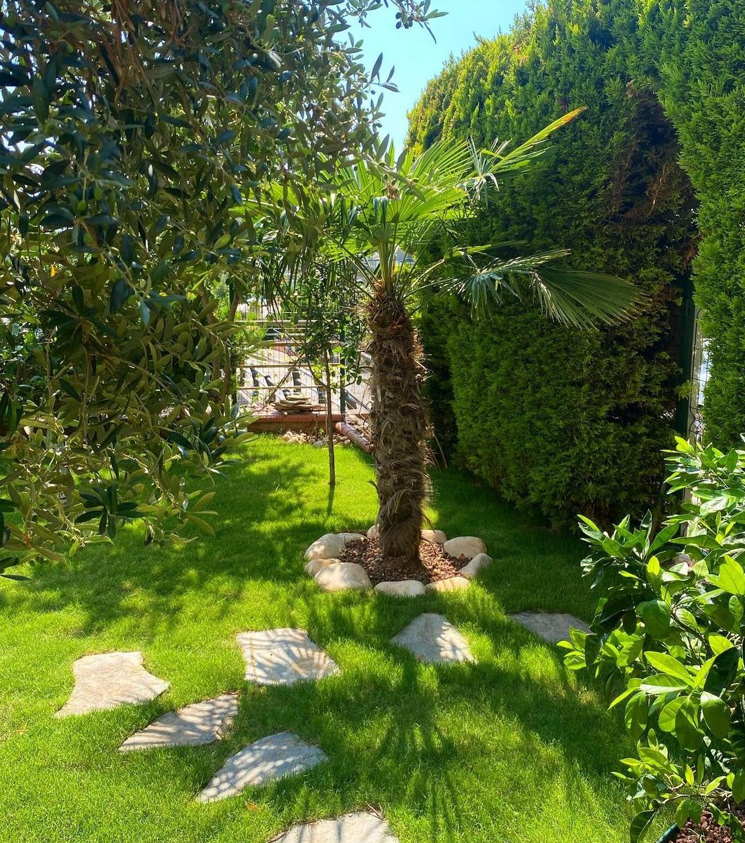 Neden Peyzaj Yaptırmalıyım ? 